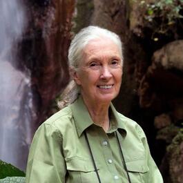 Jane Goodall