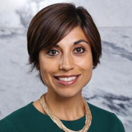 Mehrsa Baradaran